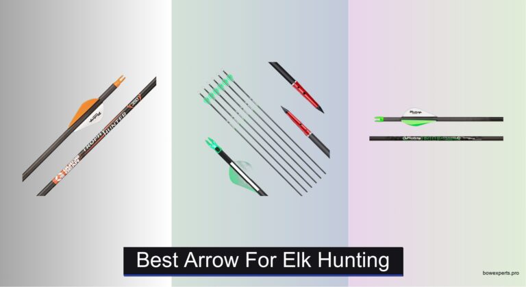 6 Best Arrows for Elk Hunting 2026