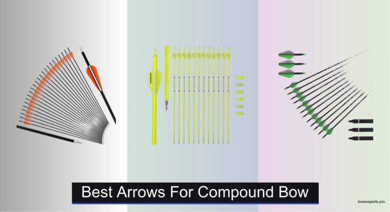 7 Best Arrows for Compound Bows (2026 Guide)