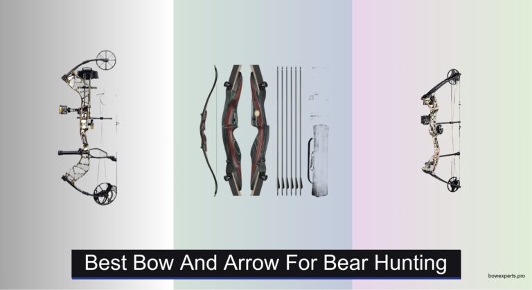 6 Best Bow and Arrow for Bear Hunting 2026