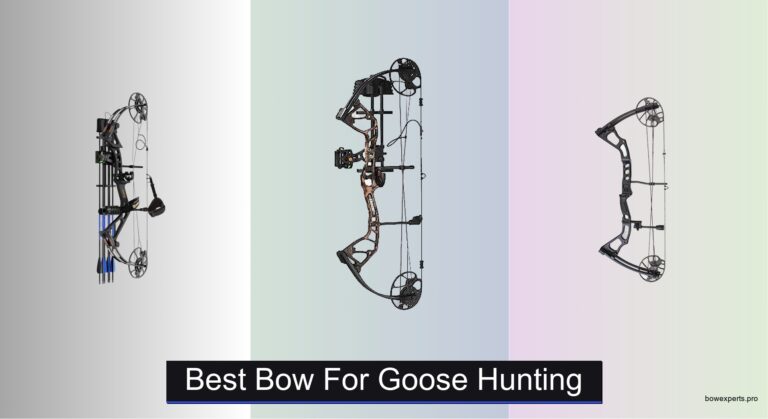 6 Best Bows for Goose Hunting 2026