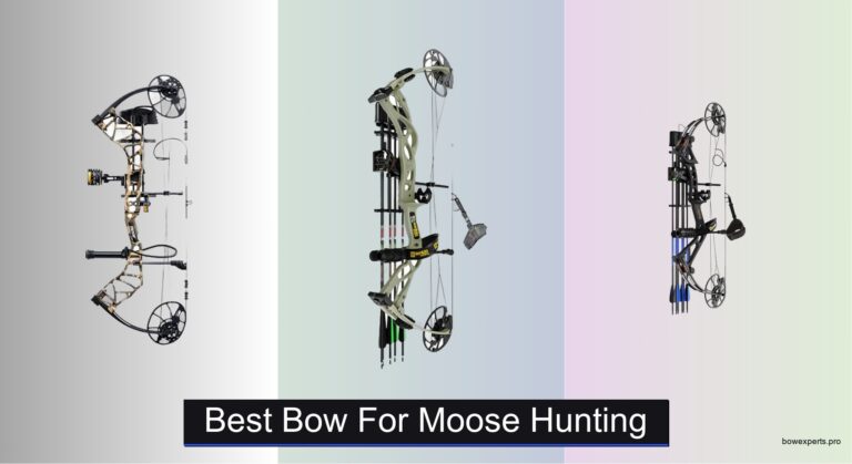 7 Best Bows for Moose Hunting (2026 Guide)