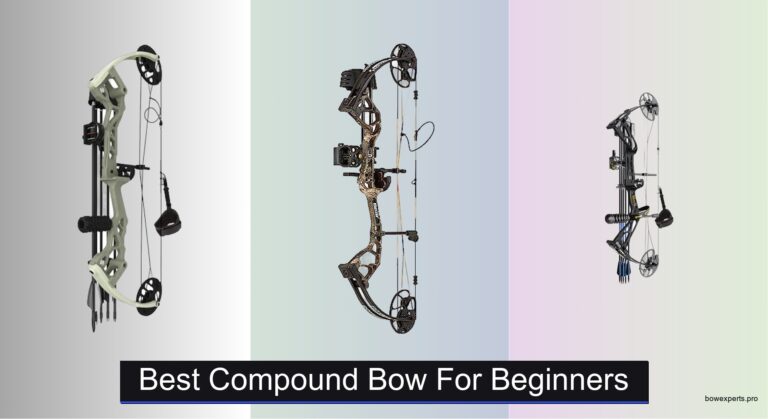 7 Best Compound Bows for Beginners 2026, Analyzed